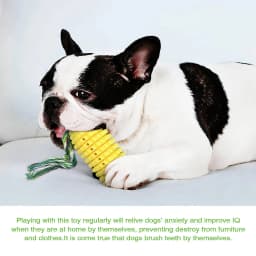 Dog Chew Toys for Chewers, Indestructible Tough Durable Interactive Dog Toys, Puppy Teeth Chew Corn Stick Toy for Small Meduium Large Breed - Thumbnail 8