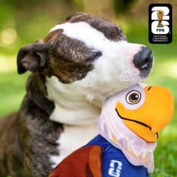 FIFA World Cup 2026 Clutch Eagle Mascot Plush and Crinkle Dog Toy - Thumbnail 4