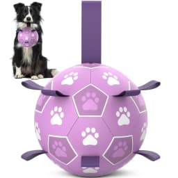 QDAN Durable Dog Toys Soccer Ball with Nylon Straps Hand Pump for Puppies Medium Large Dogs, Pink & Purple, 6-inch - Thumbnail 1