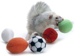 MARSHALL SPORT BALLS, 2PK ASSORTED - Thumbnail 2