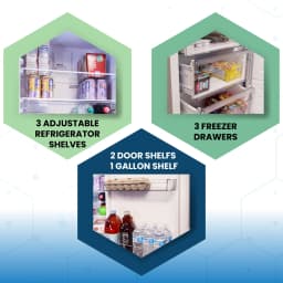 Conserv 12cf No Frost Bottom Freezer Refrigerator Wine Rack GARAGE READY E-Star - Thumbnail 10
