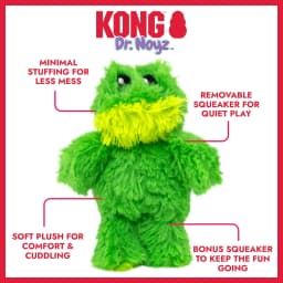 KONG® Dr.Noyz Dog Toy with Squeaker, Frog, XS for Dogs Up to 5 lbs - Thumbnail 2