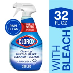 Clorox Clean-Up Multi-Surface All Purpose Cleaner with Bleach, Rain Clean, 32 fl oz - Thumbnail 1