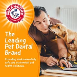 Arm & Hammer Tools 7.5" Wood Mix Paintbrush Durable Dental Dog Chew Toy - Thumbnail 6