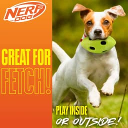 Nerf Dog TPR Bash Crinkle & Squeak Football Dog Toy, 6 inch - Thumbnail 3