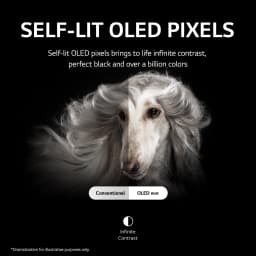 LG 42" Class 4K UHD OLED webOS Smart TV with Dolby Vision C2 Series - 42OLEDC2PUA - Thumbnail 6
