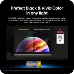65 Inch Class LG OLED AI B6 4K Smart TV OLED65B6GUA - Thumbnail 4