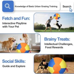 Giant Tennis Herding Ball for Dogs, Tough Indestructible Chew Toy for Large Medium Aggressive Chewers, Interactive Play Exercise & Boredom Relief Toy - Thumbnail 8
