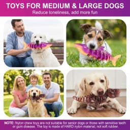 Indestructible Dog Chew Toys for Large Dogs 2 Pack, Shark and Dinosaur Tough Bone for Aggressive Chewers, Durable Bacon Flavored Teeth Cleaning Dog - Thumbnail 4