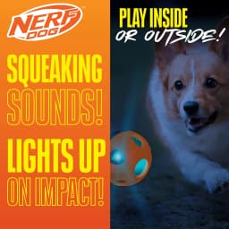 Nerf Dog LED Light Up Squeak Bash Ball Dog Toy, Blue/Orange, 3.5 inch - Thumbnail 3