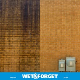 Wet & Forget Outdoor Moss, Mold, Mildew, and Algae Stain Remover Concentrate, 128 oz - Thumbnail 14