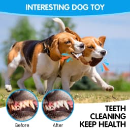 MASBRILL Squirrel Dog Squeaky Toys, 3PCS Crinkle Plush Dog Toys for Teething Chewing- No Stuffing&With Soft Squeaker , Best Birthday Gift For Puppy - Thumbnail 3