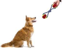 Pack of 3 Durable Rope Ball Toys for Dog Natural Tug Tough Durable Fetch Chew Teeth Interactive Play - Thumbnail 7
