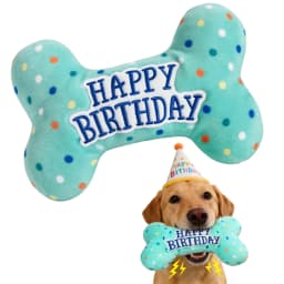 Prime Pets Dog Birthday Toys, Plush Dog Squeaky Toys, Dog Chew Toys Bone for Small Medium Large Dogs - Thumbnail 1