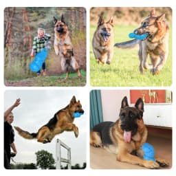 PcEoTllar Juguetes para Perros para Masticadores Agresivos de Raza Grande, Juguetes para Masticar para Perros con Forma de Pantufla y Sonido para - Thumbnail 5