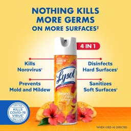 Lysol Brand New Day Disinfectant Spray, Sanitizing and Antibacterial Spray, Deodorizer, Mango & Hibiscus, 19 oz - Thumbnail 2