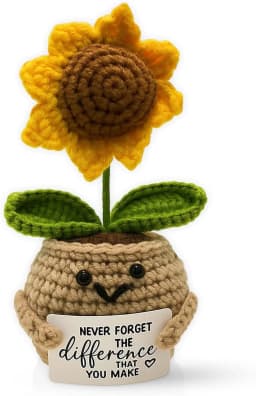 Emotional Support Crochet Flower Gift | Handmade Plush Plant with Positive Message | Unique Mini Decor for Desk, Friends, Teachers, 5 Styles - Thumbnail 1