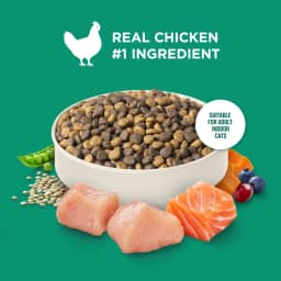 Rachael Ray Nutrish Indoor Complete Dry Cat Food, Chicken, Lentils & Salmon Recipe, 3 lb Bag - Thumbnail 4
