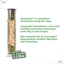 Doggijuana Tuffer Chewer Plush Dog Toy with Juananip Catnip, Squeaky Refillable Toy, Pepperoni Pizza - Thumbnail 5