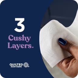 Quilted Northern Ultra Plush 3-Ply Toilet Paper, 12 Mega Rolls, 255 Sheets per Roll - Thumbnail 6
