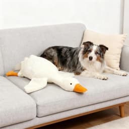 Big Duck Plushies Doll, Large Plush White Duck Dog Toy, Realistic Goose Design Dolls Suitable for Dogs Chew and Play Best Pet(19.7inch) - Thumbnail 6