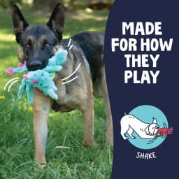 goDog Dragons Extra Soft Plush Toy for Dogs with Chew Guard Technology for Stronger & Longer Play, Soft & Durable with Built-In Squeaker, Seafoam - Thumbnail 5