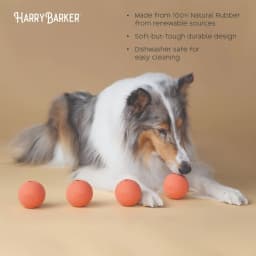 Harry Barker Durable All-Natural Rubber Balls for Dogs, 2.5" Rubber Balls, Orange, 6 Pack Set - Thumbnail 5