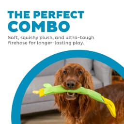 Outward Hound Fire Biterz Zebra Firehose Tug of War Dog Toy - Thumbnail 2