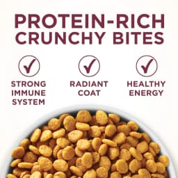 Purina ONE Plus, Urinary Tract Health Formula Dry Cat Food, Chicken, 16 lb Bag - Thumbnail 2