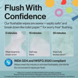 The Honest Company Little Flushables Plant-Based Wipes, 126 Count, Hypoallergenic, Safe to Flush - Thumbnail 4