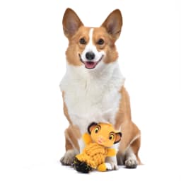 Disney: The Lion King Simba Plush Rope Body Pet Toy-9in - Thumbnail 3