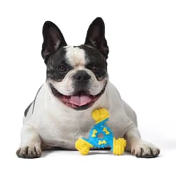 Arm & Hammer Nubbies TriOBone Durable Dental Dog Chew Toy - Thumbnail 7