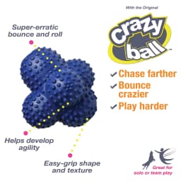 Nylabone Power Play Crazy-Ball Dog Toy, Dog Balls, Interactive Dog Toys, Large - Thumbnail 2