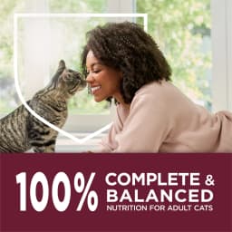 Purina Cat Chow Healthy Aging 7+ Senior Dry Cat Food, Chicken, 3.15 lb. Bag - Thumbnail 10