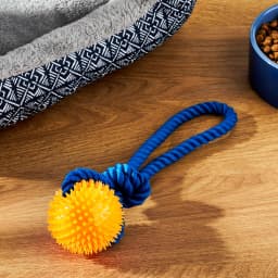 Vibrant Life Playful Buddy Rope w TPR Spikey Ball Dog Tug Toy - Thumbnail 2