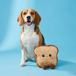 Vibrant Life Brown Toast Plush Dog Toy with Squeaker, Chew Level 1 - Thumbnail 2