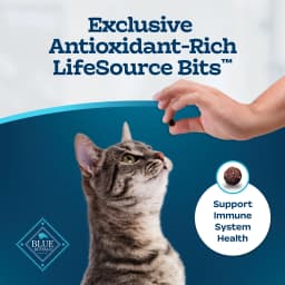 Blue Buffalo Tastefuls Dry Food, Adult Indoor Cat, Salmon and Brown Rice, 5-lb. Bag - Thumbnail 7