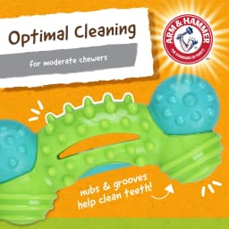 Arm & Hammer Nubbies Duality Bone Durable Dental Dog Chew Toy - Thumbnail 3