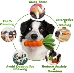 Easter Dog Squeaky Chew Toys for Aggressive Chewers, Rubber Carrot Dog Toys for Training and Cleaning, Durable Interactive Tough Dog Toy for Medium - Thumbnail 4