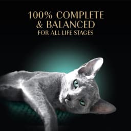 Sheba Perfect Portions Wet Cat Food Cuts in Gravy Tender Trout Entree Twin-Pack, 2.6 oz - Thumbnail 2