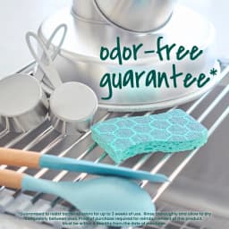 Scotch-Brite Stay Fresh Sponges, Heavy Duty, Odor Free Guarantee, Antibacterial, 3 Scrubbers - Thumbnail 5