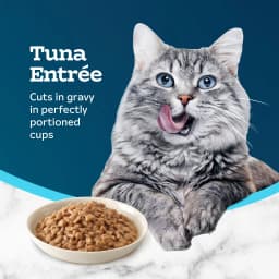 Blue Buffalo Tastefuls Savory Singles Wet Cat Food Paté, 2.6-oz. Twin Pack, Tuna - Thumbnail 4