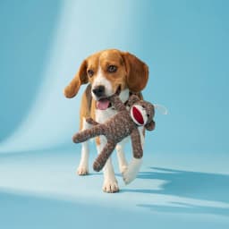 (2 pack) Vibrant Life Brown Sock Monkey Plush Dog Toy with Squeaker, Chew Level 1 - Thumbnail 3