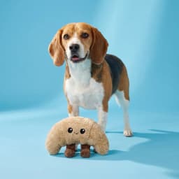 Vibrant Life Brown Croissant Plush Dog Toy with Squeaker, Chew Level 1 - Thumbnail 2