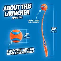Chuckit! High Bounce Ball Rubber Fetch Dog Toy, Large 3" for Large Dogs Up To 90 lb, Pack of 1, Assorted - Thumbnail 9
