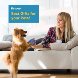 Petbobi Interactive Toy Dog Ball, Active Rolling Ball for Dogs with Flashing LED Light, Moving Bouncing Toys Ball for Medium Large Dogs, USB - Thumbnail 8
