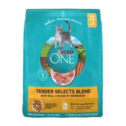Purina ONE Tender Select Blends Dry Cat Food, Chicken, 22 lb Bag - Thumbnail 1
