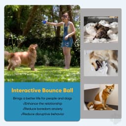 Petbobi Interactive Toy Dog Ball, Active Rolling Ball for Dogs with Flashing LED Light, Moving Bouncing Toys Ball for Medium Large Dogs, USB - Thumbnail 5