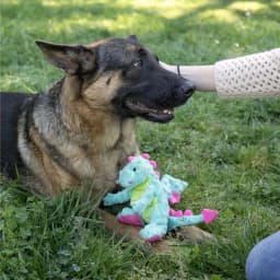 goDog Dragons Extra Soft Plush Toy for Dogs with Chew Guard Technology for Stronger & Longer Play, Soft & Durable with Built-In Squeaker, Seafoam - Thumbnail 7