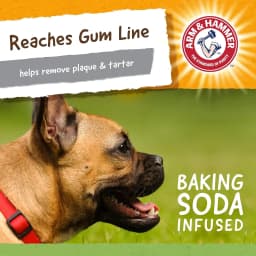 Arm & Hammer Super Treadz Gator Durable Dog Dental Toy - Thumbnail 4